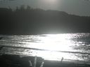 ./images/calvert/beach/20170101/beach20170101_133501.jpg