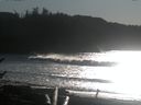 ./images/calvert/beach/20170101/beach20170101_140003.jpg