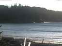 ./images/calvert/beach/20170101/beach20170101_145003.jpg