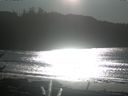 ./images/calvert/beach/20170102/beach20170102_133502.jpg