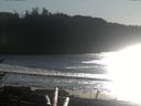 ./images/calvert/beach/20170102/beach20170102_140503.jpg