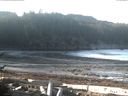 ./images/calvert/beach/20170103/beach20170103_103003.jpg