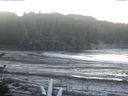 ./images/calvert/beach/20170104/beach20170104_091002.jpg