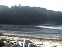 ./images/calvert/beach/20170104/beach20170104_103501.jpg