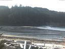 ./images/calvert/beach/20170104/beach20170104_111503.jpg