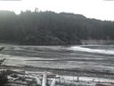 ./images/calvert/beach/20170105/beach20170105_115003.jpg
