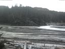 ./images/calvert/beach/20170105/beach20170105_115502.jpg