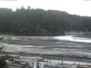 ./images/calvert/beach/20170105/beach20170105_120002.jpg