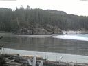 ./images/calvert/beach/20170107/beach20170107_151002.jpg