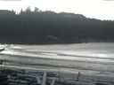 ./images/calvert/beach/20170109/beach20170109_125501.jpg