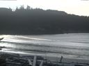 ./images/calvert/beach/20170109/beach20170109_130502.jpg