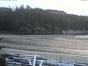 ./images/calvert/beach/20170109/beach20170109_163501.jpg