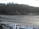 ./images/calvert/beach/20170109/beach20170109_164501.jpg