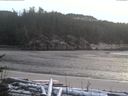 ./images/calvert/beach/20170109/beach20170109_165002.jpg