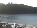 ./images/calvert/beach/20170110/beach20170110_120503.jpg