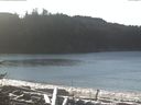 ./images/calvert/beach/20170110/beach20170110_121002.jpg