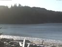 ./images/calvert/beach/20170110/beach20170110_122501.jpg