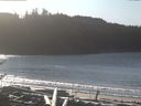 ./images/calvert/beach/20170110/beach20170110_124502.jpg