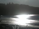 ./images/calvert/beach/20170110/beach20170110_134002.jpg