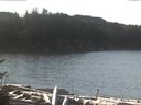 ./images/calvert/beach/20170111/beach20170111_111002.jpg
