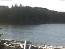 ./images/calvert/beach/20170111/beach20170111_111503.jpg