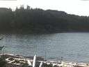 ./images/calvert/beach/20170111/beach20170111_112002.jpg