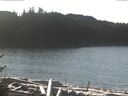 ./images/calvert/beach/20170111/beach20170111_115002.jpg
