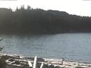 ./images/calvert/beach/20170111/beach20170111_115502.jpg