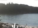./images/calvert/beach/20170111/beach20170111_120002.jpg