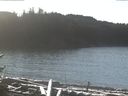 ./images/calvert/beach/20170111/beach20170111_122503.jpg