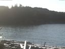./images/calvert/beach/20170111/beach20170111_123003.jpg
