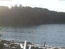 ./images/calvert/beach/20170111/beach20170111_123503.jpg