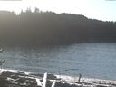 ./images/calvert/beach/20170111/beach20170111_124503.jpg