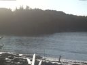 ./images/calvert/beach/20170111/beach20170111_125003.jpg