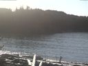 ./images/calvert/beach/20170111/beach20170111_125503.jpg