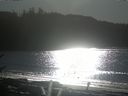 ./images/calvert/beach/20170111/beach20170111_133502.jpg
