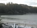 ./images/calvert/beach/20170112/beach20170112_095503.jpg