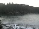 ./images/calvert/beach/20170112/beach20170112_103501.jpg
