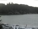 ./images/calvert/beach/20170112/beach20170112_110503.jpg