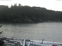 ./images/calvert/beach/20170112/beach20170112_112502.jpg