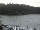 ./images/calvert/beach/20170112/beach20170112_122001.jpg
