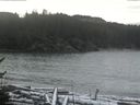 ./images/calvert/beach/20170112/beach20170112_122502.jpg