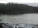 ./images/calvert/beach/20170112/beach20170112_130503.jpg