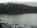 ./images/calvert/beach/20170112/beach20170112_131002.jpg