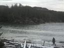 ./images/calvert/beach/20170112/beach20170112_133502.jpg