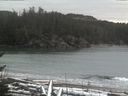 ./images/calvert/beach/20170112/beach20170112_140501.jpg