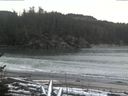 ./images/calvert/beach/20170112/beach20170112_143503.jpg