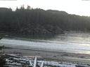 ./images/calvert/beach/20170112/beach20170112_150002.jpg