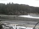 ./images/calvert/beach/20170112/beach20170112_161502.jpg