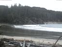 ./images/calvert/beach/20170113/beach20170113_090502.jpg